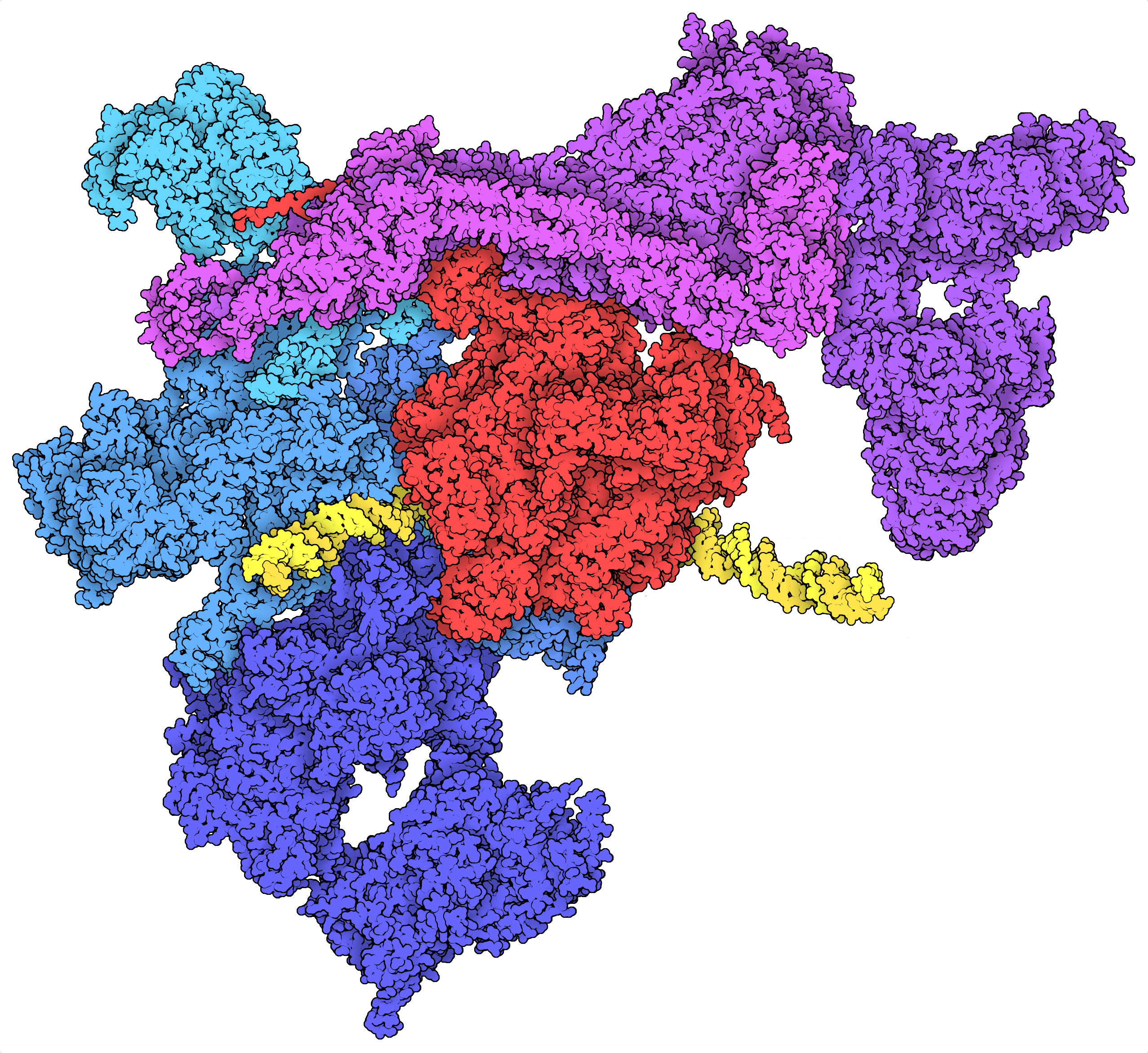 Molecular structure illustration used as an interactive map of Felix Tuchscherer’s experience